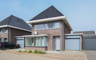Roerdomp 9
