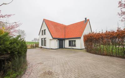 Drie Haasjes 1