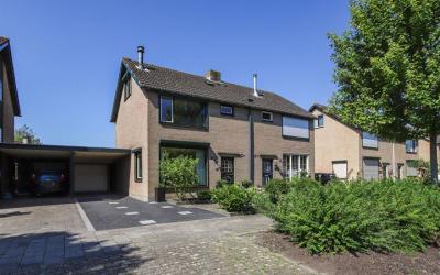 Boerhaavest. 43