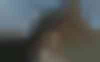 Duinbeek 3
