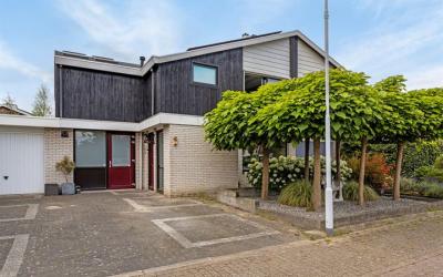 Schuttershof 4