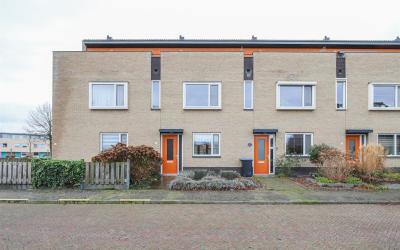 Korenbloem 18
