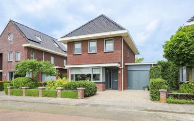 Korenbloem 19