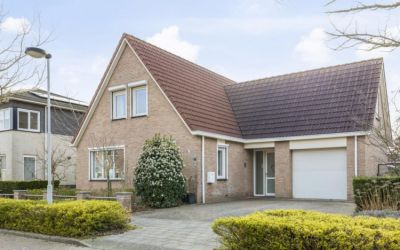 Boterbloem 12