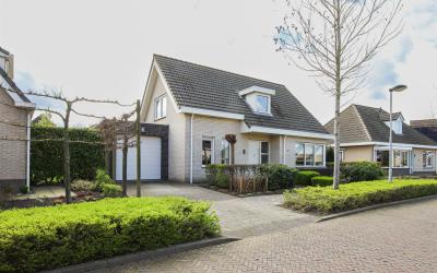 Boterbloem 6