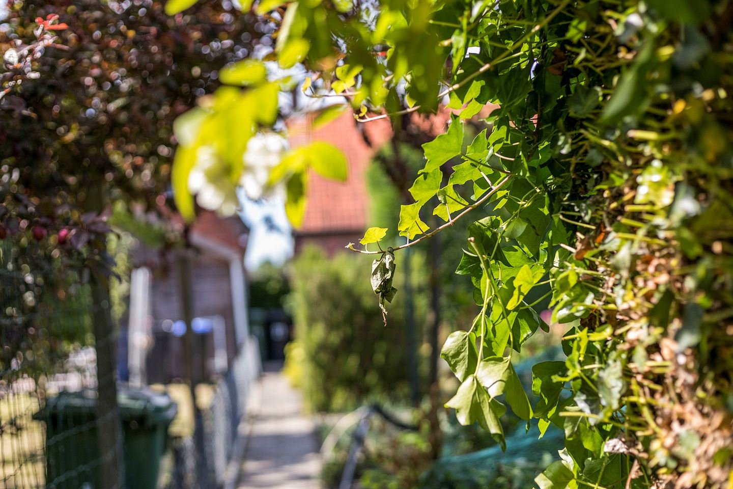 Twee-onder-één-kap te koop: Noordelijke Achterweg 21, Wemeldinge