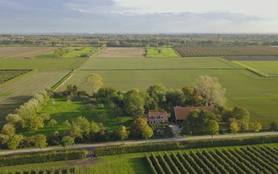 Zuidweg 16