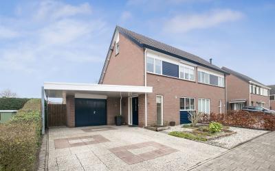 Roofvogelst. 50