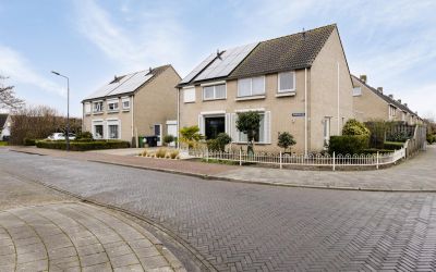 Hoendervoge. 2