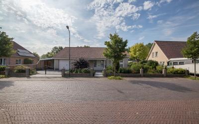 Hoendervoge. 3