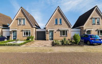 Parelhoen 2-A