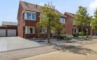 Paardebloem. 18