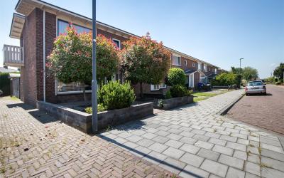 Scheldestra. 4