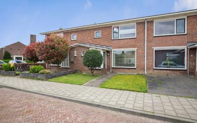 Scheldestra. 6