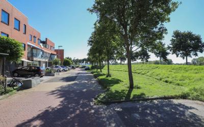 Duizendblad. 51