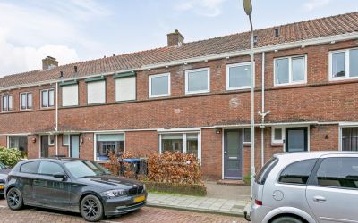 Tulpstraat 13