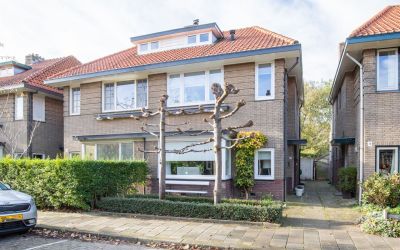 Zonnebloems. 21