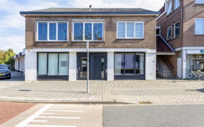 Zonnebloems. 46-A