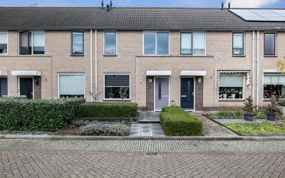Leeuweriken. 6