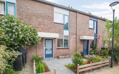 Wilsonstraat 40