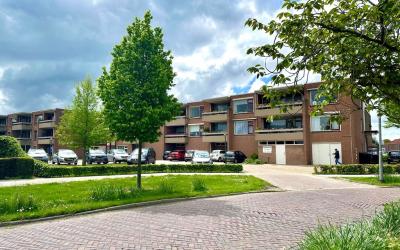 Grote Beer 8-008