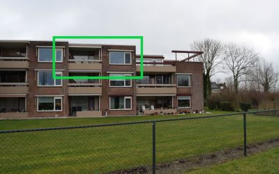 Grote Beer 8-026