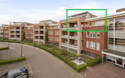 Dierkenstee. 3-212