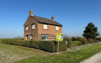 Sint Lieven. 1