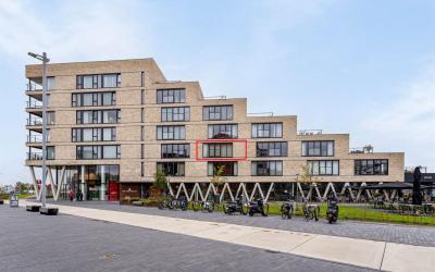Bellevue 12