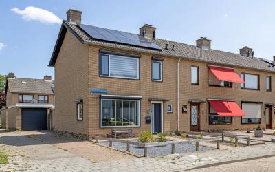 Pieter de H. 2