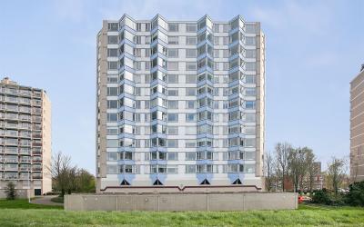 Churchillla. 322