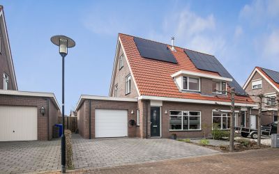 Tapijtschelp 10