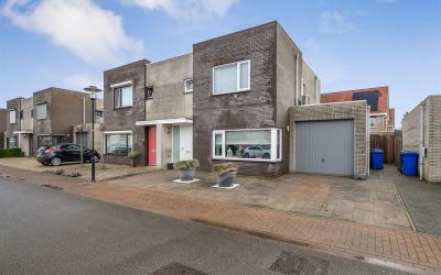 Roerdomp 19