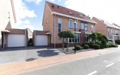 Aalscholver 18