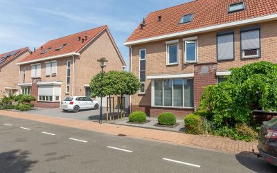 Aalscholver 18