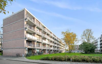 Witte de Wi. 81