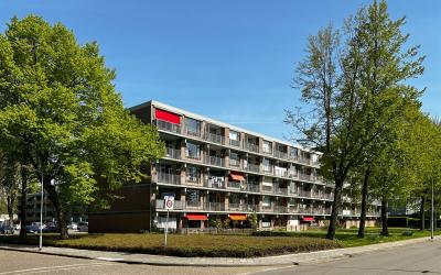 van Diemens. 25
