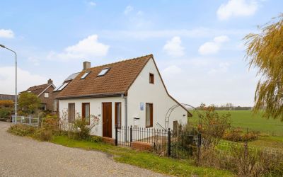 Knol 24