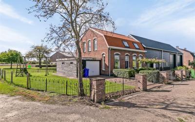 Knol 5