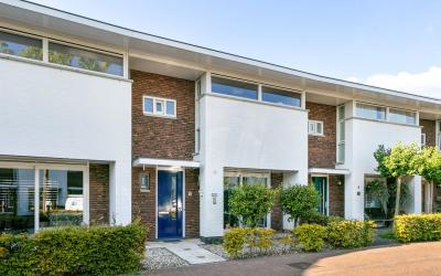 Zwemkrab 5