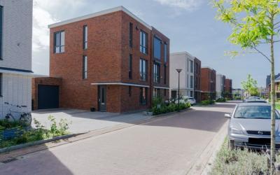 Kievitsbloem 3