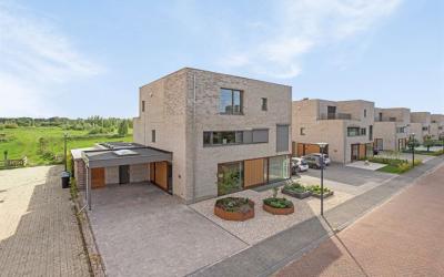 Oostmoer 38
