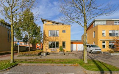 Strandplevi. 24