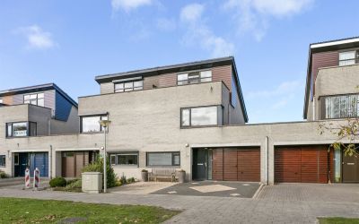 Aalscholver 14