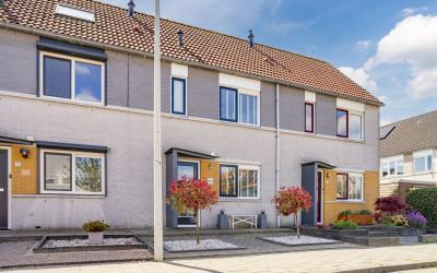 Visarend 21