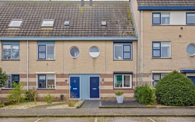 Speelman 31