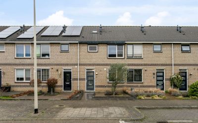 Zwaanhil 11