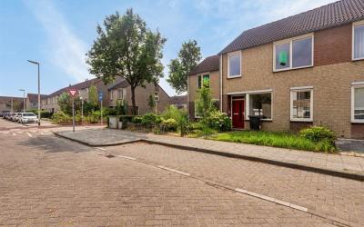 Yersekeroord 12