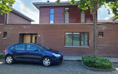Grote Hazel. 20