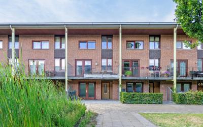 Moerbei 28